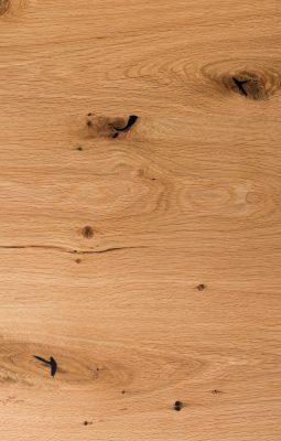 Европейски дъб