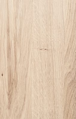 Европейски дъб